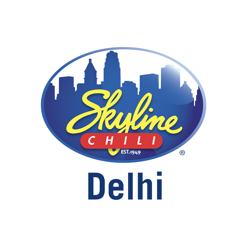 Delhi Skyline